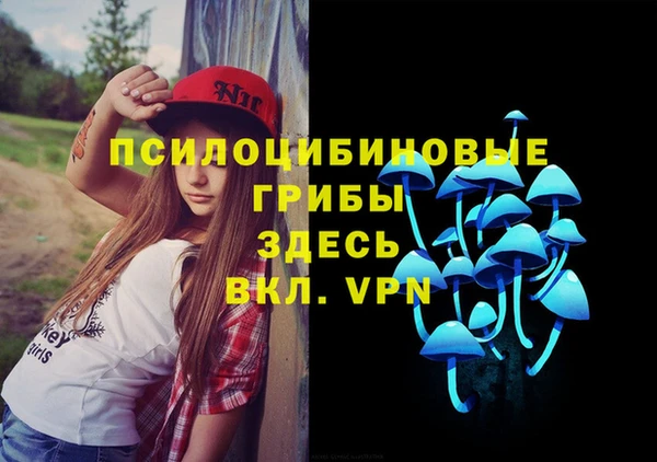 гидра Абаза