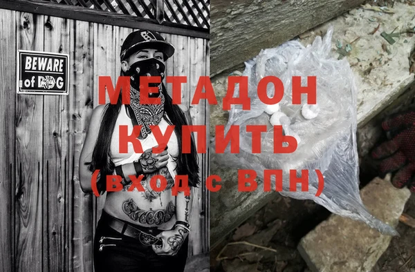 гидра Абаза