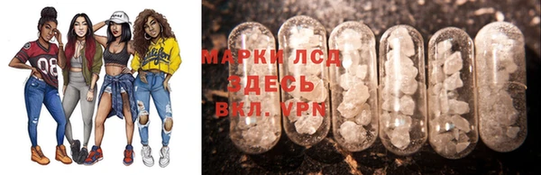 гидра Абаза