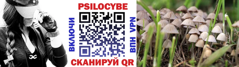 Псилоцибиновые грибы прущие грибы наркошоп Шимановск